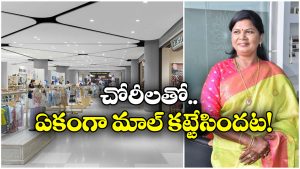 Viral News: కొట్టేయడం నా హాబీ.. చోరీ కేసులో మహిళ సర్పంచ్ అరెస్ట్, ఆమె చెప్పింది వింటే ఫ్యూజులు ఔట్!