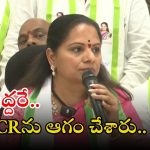 MLC Kavitha: బీఆర్‌ఎస్‌లో ఆ ఇద్దరు అవినీతి అనకొండలు.. కల్వకుంట్ల కవిత సంచలన వ్యాఖ్యలు..