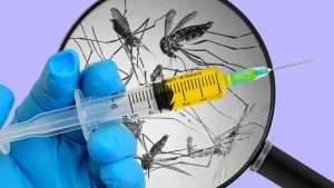 Malaria vaccine: మలేరియాకు మందు.. భారత తొలి వ్యాక్సిన్‌కు హైదరాబాద్ నుంచే శ్రీకారం