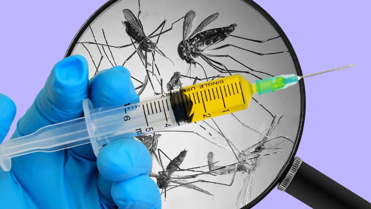 Malaria vaccine: మలేరియాకు మందు.. భారత తొలి వ్యాక్సిన్‌కు హైదరాబాద్ నుంచే శ్రీకారం