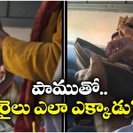 Viral Video: పాముతో బెదిరించి డబ్బులు డిమాండ్.. రైల్లో బిచ్చగాడి అరాచకం, రైల్వే స్పందన ఇదే!