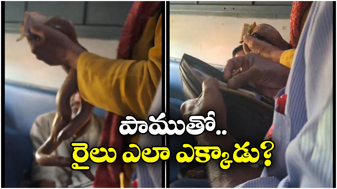 Viral Video: పాముతో బెదిరించి డబ్బులు డిమాండ్.. రైల్లో బిచ్చగాడి అరాచకం, రైల్వే స్పందన ఇదే!