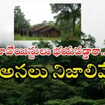 Maoists: ఆపరేషన్ కగార్ తర్వాత ఏం జరుగుతోంది..? ముఖ్యంగా తెలుగు వారిపైనే స్పెషల్ ఫోకస్..!