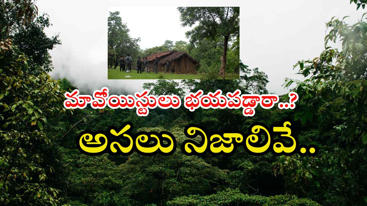 Maoists: ఆపరేషన్ కగార్ తర్వాత ఏం జరుగుతోంది..? ముఖ్యంగా తెలుగు వారిపైనే స్పెషల్ ఫోకస్..!