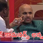 Bigg Boss 9 : వీళ్లు కామనర్స్ కాదు, సెల్ఫిష్ రూతులస్ ఇడియట్స్