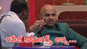 Bigg Boss 9 : వీళ్లు కామనర్స్ కాదు, సెల్ఫిష్ రూతులస్ ఇడియట్స్