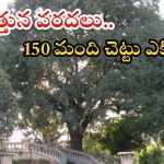 Musi Floods: మూసీకి అత్యంత భారీ వరదలు.. 150 మంది ప్రాణాలను కాపాడిన చింతచెట్టు, ఎక్కడంటే?