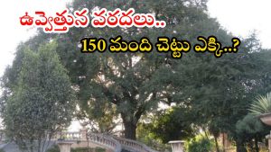 Musi Floods: మూసీకి అత్యంత భారీ వరదలు.. 150 మంది ప్రాణాలను కాపాడిన చింతచెట్టు, ఎక్కడంటే?