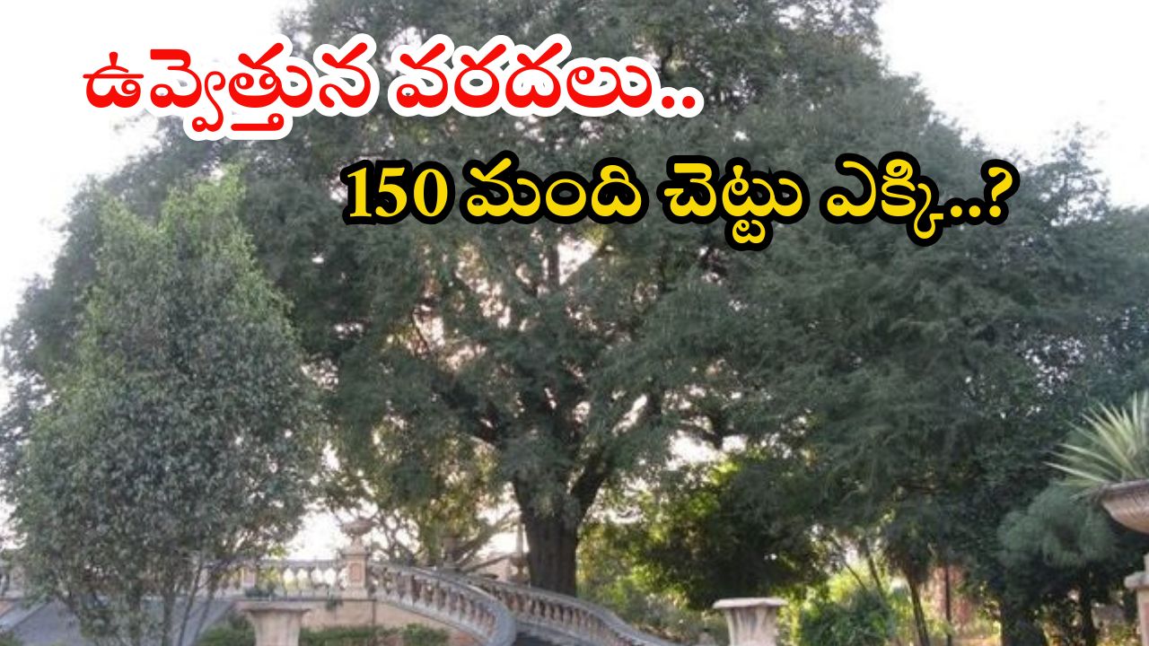 Musi Floods: మూసీకి అత్యంత భారీ వరదలు.. 150 మంది ప్రాణాలను కాపాడిన చింతచెట్టు, ఎక్కడంటే?