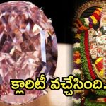 TTD Pink Diamond: శ్రీవారి పింక్ డైమండ్.. ఆర్కియాలజికల్‌ విభాగం క్లారిటీ, వైసీపీ నెక్ట్స్ టార్గెట్ ఏంటి?