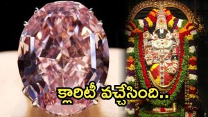 TTD Pink Diamond: శ్రీవారి పింక్ డైమండ్.. ఆర్కియాలజికల్‌ విభాగం క్లారిటీ, వైసీపీ నెక్ట్స్ టార్గెట్ ఏంటి?