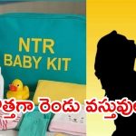 Ntr Baby Kit: ఏపీలో ఆ పథకం ప్రారంభం.. ఒక్కొక్కరికి రెండు వేలు, కొత్తగా ఆ రెండు