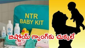 Ntr Baby Kit: ఏపీలో ఆ పథకం ప్రారంభం.. ఒక్కొక్కరికి రెండు వేలు, కొత్తగా ఆ రెండు