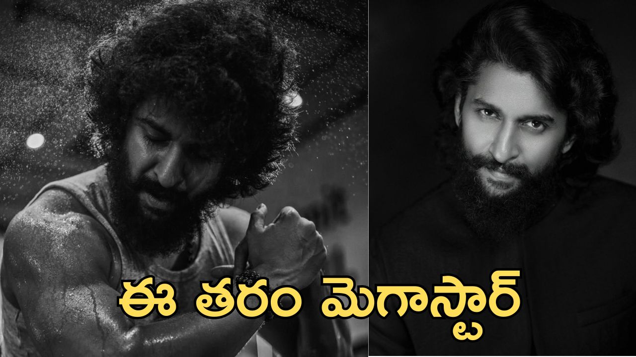 17 Years of Nani : మామూలు జర్నీ కాదు, ఈ తరానికి నువ్వే బాసు