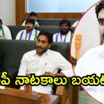 Amaravati News: వైసీసీ గుట్టు బయటపెట్టిన మంత్రి లోకేష్, ఖర్చు మామూలుగా లేదు, రంగంలోకి సిట్