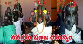 Navagraha Puja: నవగ్రహాలను ఎందుకు పూజించాలి? శాస్త్రాలు ఏం చెబుతున్నాయి