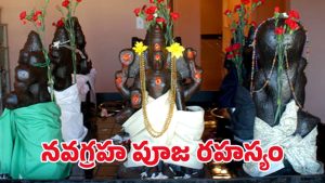 Navagraha Puja: నవగ్రహాలను ఎందుకు పూజించాలి? శాస్త్రాలు ఏం చెబుతున్నాయి