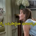 OTT Movie : ఓనర్ ను కాపాడడానికి ప్రాణాలకు తెగించే పిల్లి… ఒక్కసారి చూడడం స్టార్ట్ చేస్తే ఆపరు భయ్యా