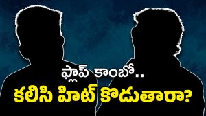 Telugu Hero Movie : ప్లాప్ హీరో – డిజాస్టర్ డైరెక్టర్… ఇద్దరు కలిస్తే ఇంకేమైనా ఉందా ?