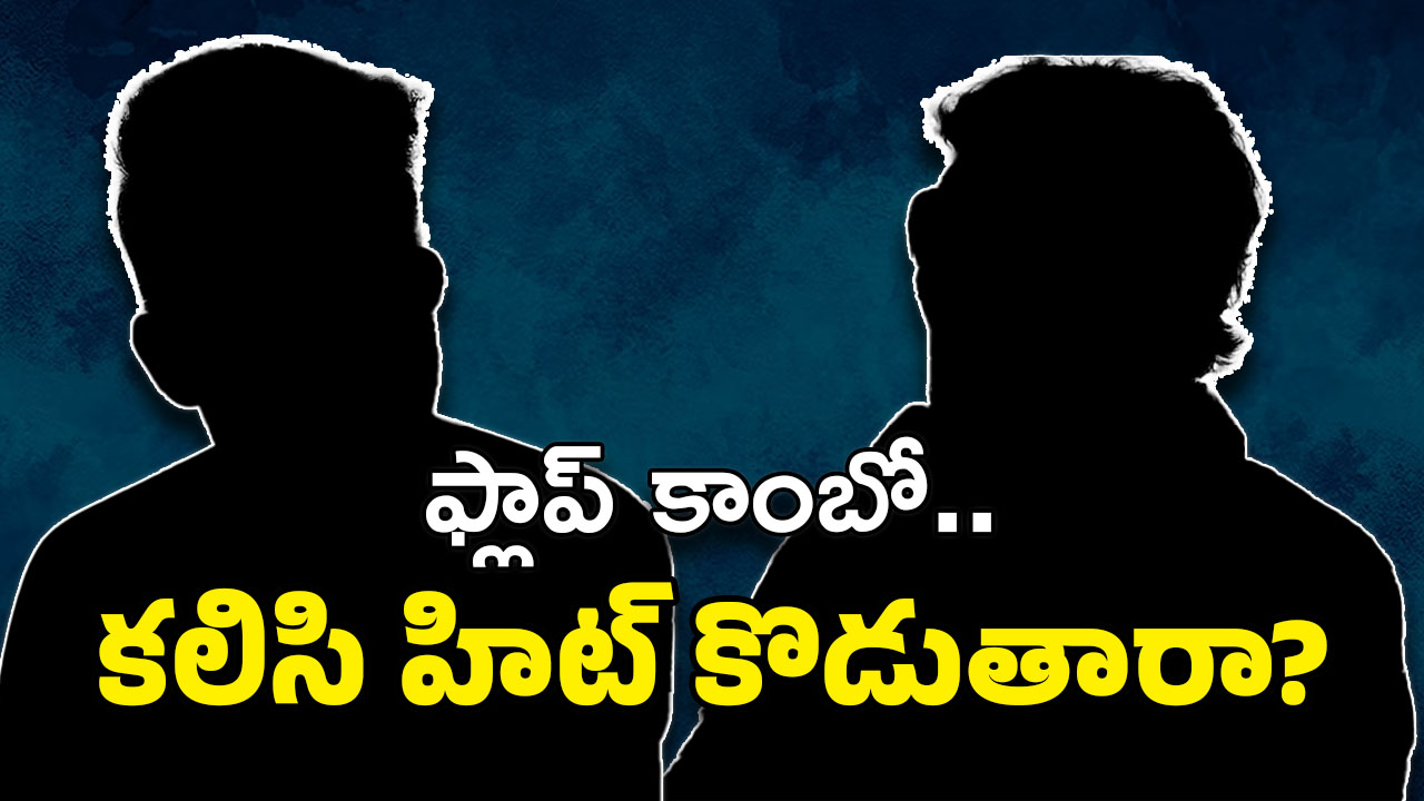 Telugu Hero Movie : ప్లాప్ హీరో – డిజాస్టర్ డైరెక్టర్… ఇద్దరు కలిస్తే ఇంకేమైనా ఉందా ?