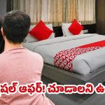 OYO: ఓయో హోటల్స్‌పై మైండ్ బ్లోయింగ్ డిస్కౌంట్.. 75% తగ్గింపు మిస్ కాకండి!