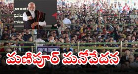 Rose Tea Health Tips: గులాబీ టీ తాగితే శరీరంలో ఏమి జరుగుతుంది? షాకింగ్ రిజల్ట్స్!