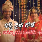 OTT Movie : ధూమ్ ధామ్ గా పెళ్లి… మొదటి రాత్రే జీవితంలో పెళ్ళంటేనే భయపడే షాక్ ఇచ్చే భార్య… తేడా యవ్వారమే
