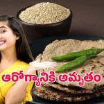 Pearl millet health benefits: డయాబెటిస్ నుంచి రక్షించే సజ్జల సహజ వైద్యం.. రోజూ తింటే ఆరోగ్యం మీ సొంతం