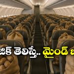 Potatoes in Plane: ఆ విమానంలోని సీట్ల నిండా బంగాళ దుంపల బస్తాలు వేశారు.. ఎందుకో తెలుసా?