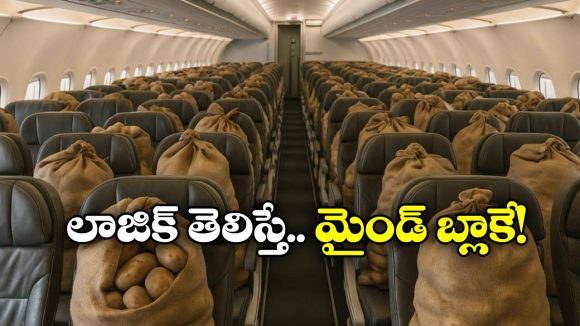 Potatoes in Plane: ఆ విమానంలోని సీట్ల నిండా బంగాళ దుంపల బస్తాలు వేశారు.. ఎందుకో తెలుసా? Potatoes in Plane: ఆ విమానంలోని సీట్ల నిండా బంగాళ దుంపల బస్తాలు వేశారు.. ఎందుకో తెలుసా?