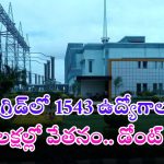PGCIL Recruitment: పవర్ గ్రిడ్‌లో భారీగా ఉద్యోగాలు.. జీతమైతే లక్షకు పైనే, లాస్ట్ డేట్ ఎప్పుడంటే?