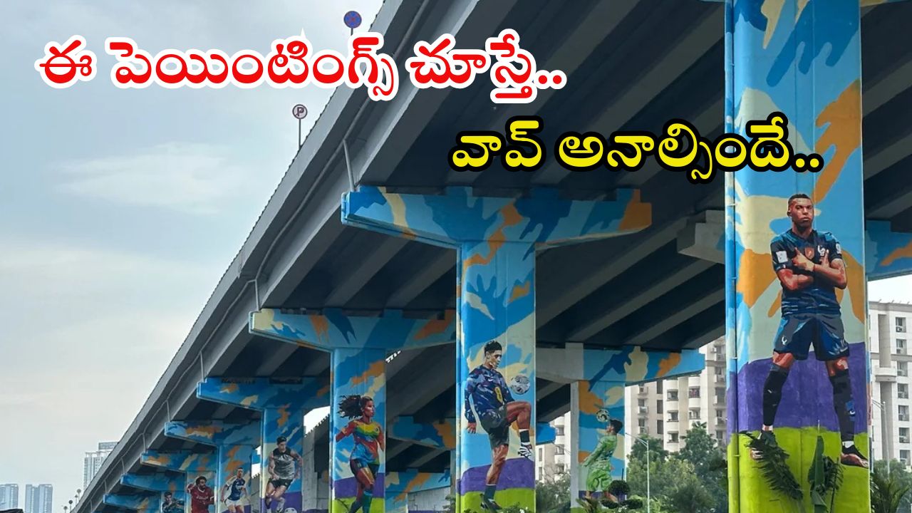 Printed Pillars: రంగులే.. రంగులే.. హైదరాబాద్ పిల్లర్లపై క్రీడా దిగ్గజాల పెయింటింగ్స్, అదుర్స్ అంతే!