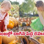 Pumpkin Seeds: గుమ్మడి గింజలు తింటున్నారా..? వచ్చే మార్పులు ఇవే!