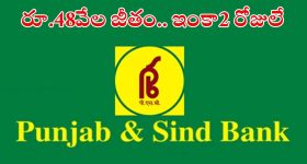 JOBS: పంజాబ్ అండ్ సింధ్ బ్యాంక్‌లో భారీగా పోస్టులు.. భారీ వేతనం.. 2 రోజులే గడువు
