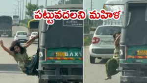Video Viral: పట్టపగలు దొంగలతో ఆ మహిళ ఫైట్.. యాక్షన్ మూవీ మాదిరిగా, చివరకు ఏం జరిగింది?