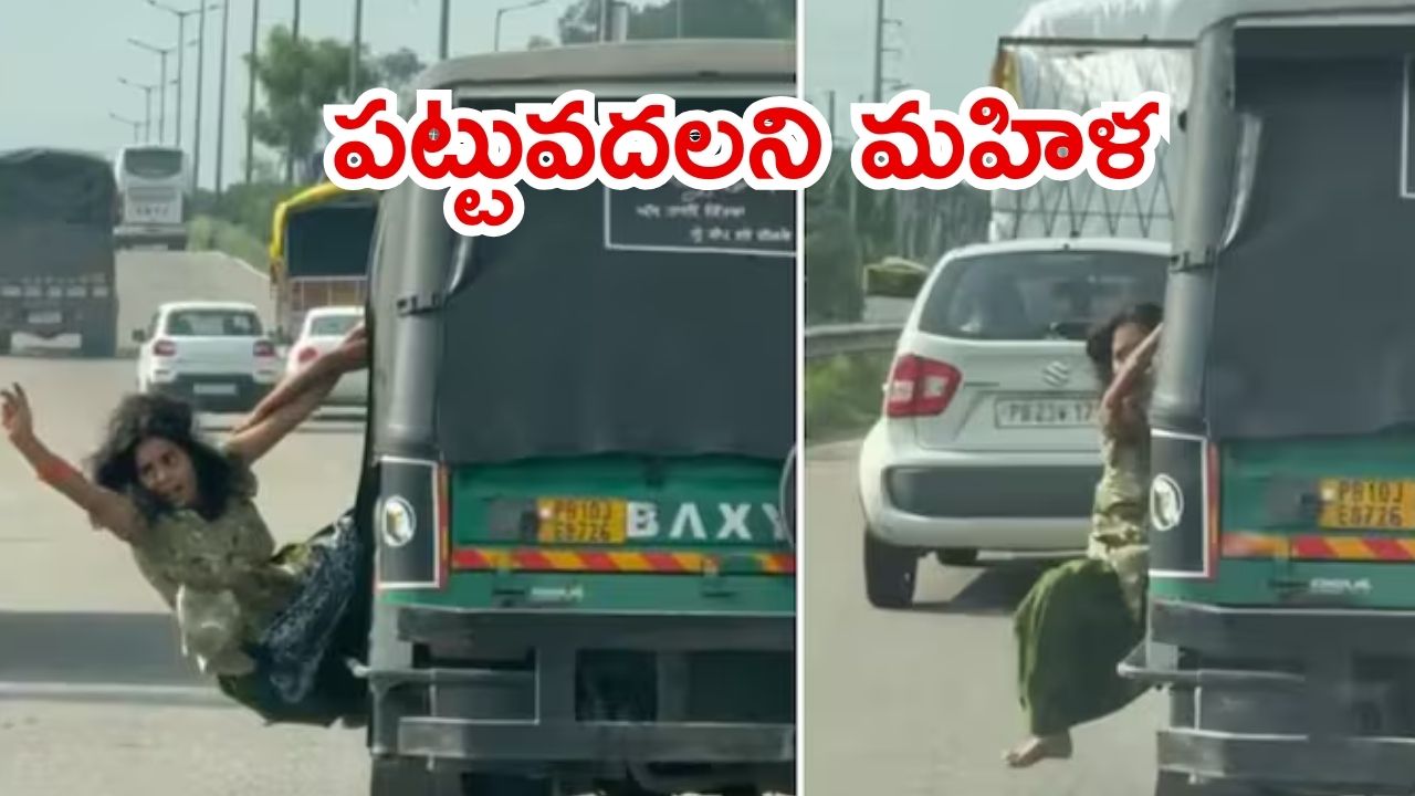 Video Viral: పట్టపగలు దొంగలతో ఆ మహిళ ఫైట్.. యాక్షన్ మూవీ మాదిరిగా, చివరకు ఏం జరిగింది?