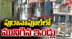 Papaya Seeds: బొప్పాయి సీడ్స్ తింటే.. ఈ వ్యాధులన్నీ పరార్ !
