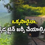 Railway tunnels: సొరంగాల్లో సైరన్ ప్రతిధ్వని.. నంద్యాల రైల్వే టన్నెల్స్ రహస్యాలు ఇవే!
