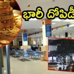 SBI Bank Robbery: ఎస్‌బీఐ బ్యాంకులో భారీ దోపిడీ.. 50 కేజీల బంగారం, 8 కోట్ల క్యాష్
