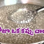 Health Benefits: రోజూ సగ్గుబియ్యం జావ.. తింటే ఏమవుతుందో తెలుసా?