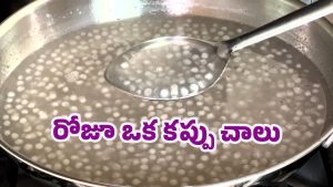 Health Benefits: రోజూ సగ్గుబియ్యం జావ.. తింటే ఏమవుతుందో తెలుసా?