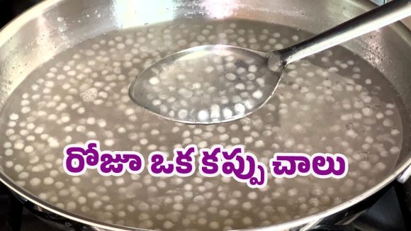 Health Benefits: రోజూ సగ్గుబియ్యం జావ.. తింటే ఏమవుతుందో తెలుసా? Health Benefits: రోజూ సగ్గుబియ్యం జావ.. తింటే ఏమవుతుందో తెలుసా?