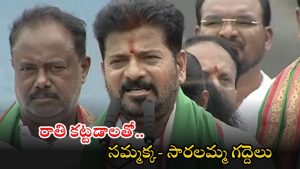 Sammakka-Saralamma: వనదేవతలు సమ్మక్క- సారలమ్మలు అన్ని గమనిస్తున్నారు.. కేంద్రంపై సీఎం రేవంత్ కీలక వ్యాఖ్యలు