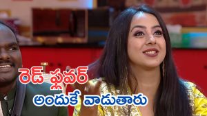 Bigg Boss 9 : ఒరేయ్ సంజన ఏంట్రా అంత సీరియస్ సిచువేషన్ లో తెలియకుండా కామెడీ చేస్తుంది