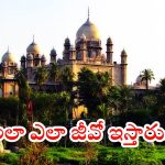 Sarpanch Elections: సర్పంచ్ ఎన్నికలను వాయిదా వేయండి.. హైకోర్టు సంచలన వ్యాఖ్యలు