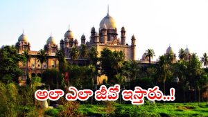 Sarpanch Elections: సర్పంచ్ ఎన్నికలను వాయిదా వేయండి.. హైకోర్టు సంచలన వ్యాఖ్యలు