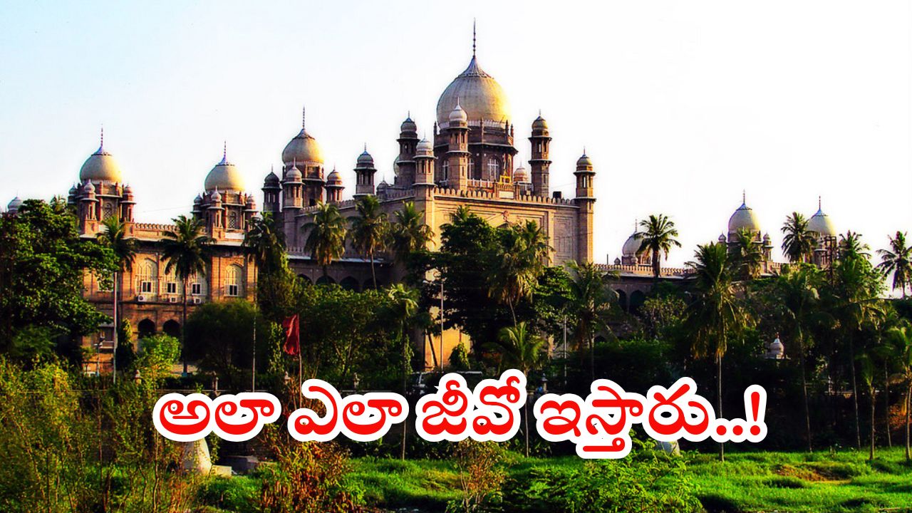 Sarpanch Elections: సర్పంచ్ ఎన్నికలను వాయిదా వేయండి.. హైకోర్టు సంచలన వ్యాఖ్యలు