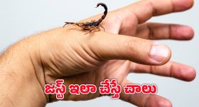 Meteorite: ఆకాశం నుంచి పడ్డ బంగారు ఉల్క.. అసలు విషయం తెలిసి అంతా షాక్!