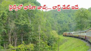 Section Controller Jobs: రైల్వేలో భారీగా సెక్షన్ కంట్రోల్ ఉద్యోగాలు.. డిగ్రీ పాసైతే చాలు, నెలకు రూ.35,400 జీతం