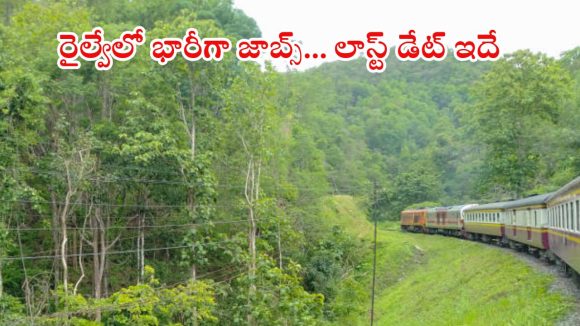 Section Controller Jobs: రైల్వేలో భారీగా సెక్షన్ కంట్రోల్ ఉద్యోగాలు.. డిగ్రీ పాసైతే చాలు, నెలకు రూ.35,400 జీతం